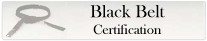 Six Sigma Black Belt Certification
